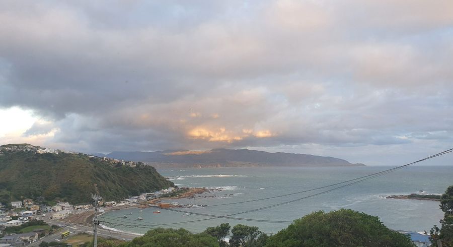  at 37 Milne Tce., Island Bay, Wellington, Wellington