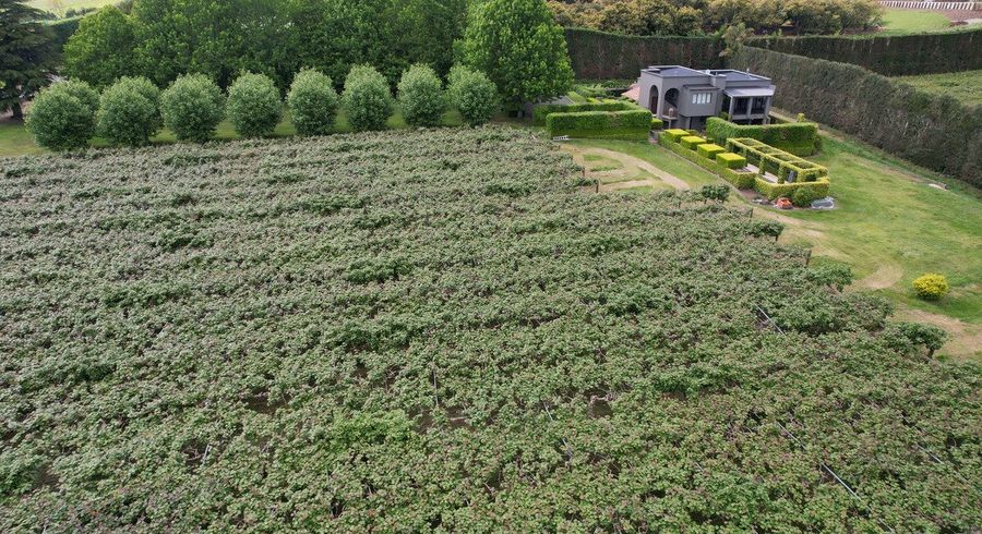  at 50 Emeny Road, Whakamarama, Western Bay Of Plenty, Bay Of Plenty