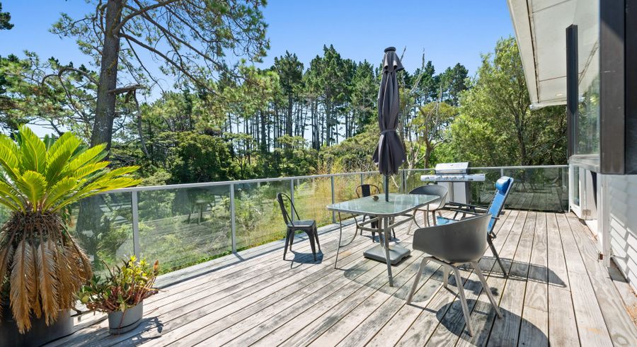  at 16 Stedman Place, Avondale, Auckland City, Auckland