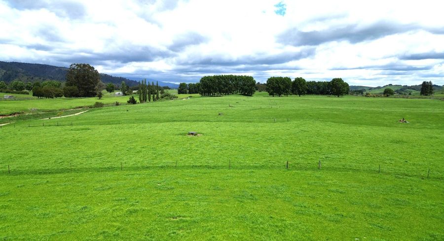  at 2646 State Highway 4, Owhango, Ruapehu, Manawatu / Whanganui