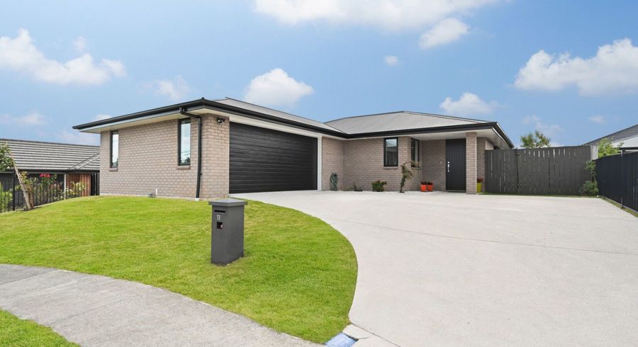  at 11 Branca Close, Fitzroy, Hamilton