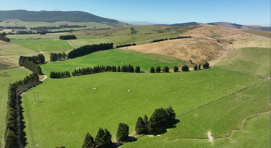  at Castle Downs, Dipton West, Southland, Southland