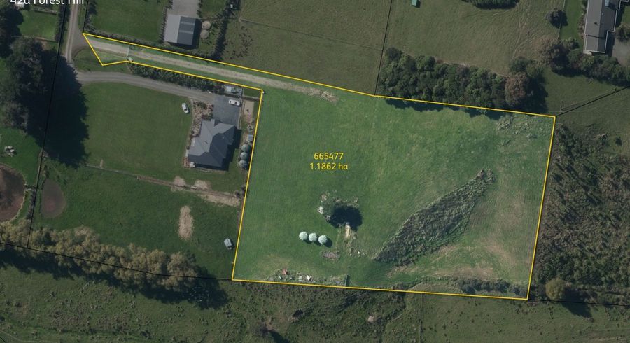  at 42A Forest Hill Road, Palmerston North