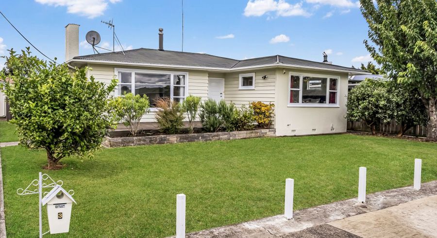  at 3 Marsden Place, Awapuni, Palmerston North, Manawatu / Whanganui