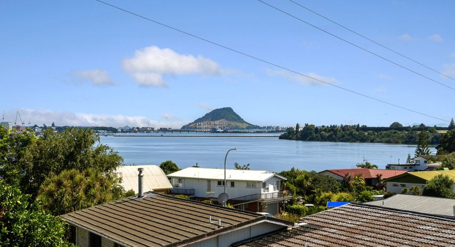  at 359 Maungatapu Road, Maungatapu, Tauranga, Bay Of Plenty