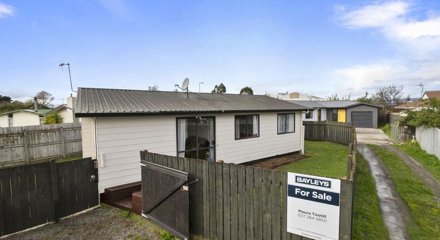  at 46 Seaforth Avenue, Milson, Palmerston North