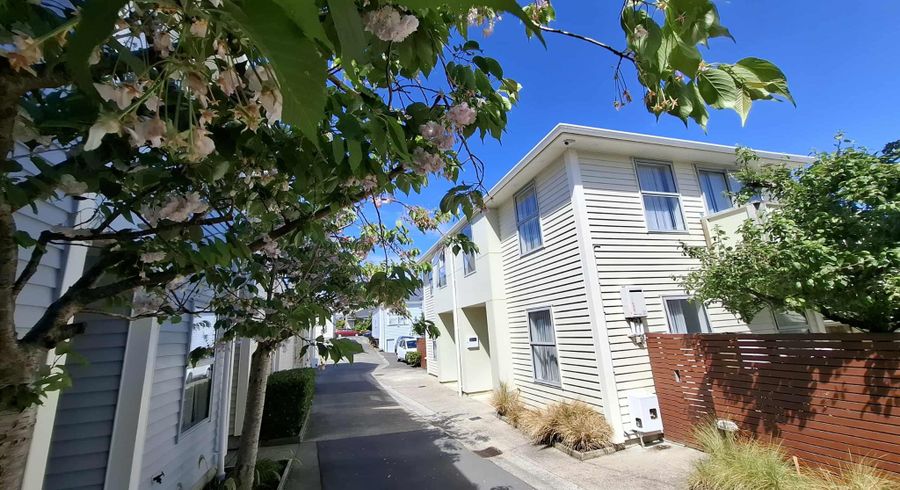  at 8/44 Owen Street, Newtown, Wellington, Wellington