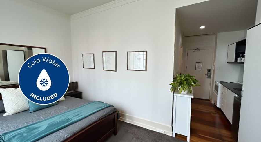  at 528/35 Hobson Street, City Centre, Auckland City, Auckland