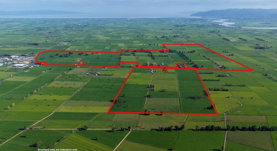  at 119 Wharepoa Road, Netherton, Hauraki, Waikato