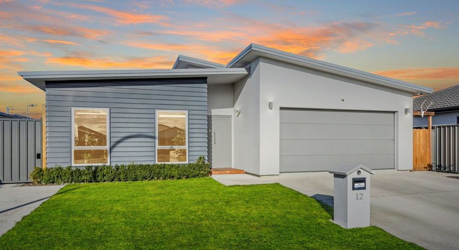  at 12 Manganui Place, Te Awa, Napier