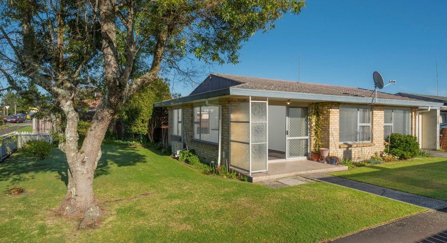  at 571A Fraser Street, Greerton, Tauranga, Bay Of Plenty