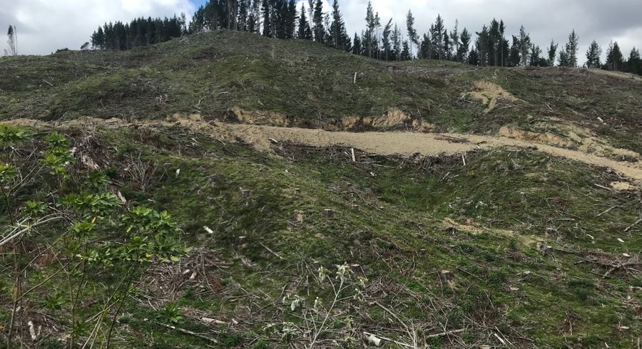  at 0 Ngahape Road, Otorohanga