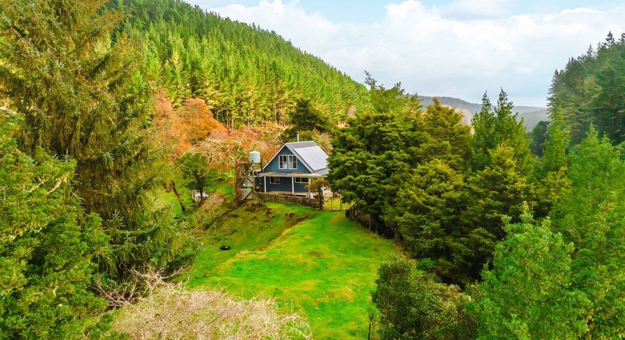  at 2005 Ongarue Stream Road, Taumarunui, Ruapehu, Manawatu / Whanganui