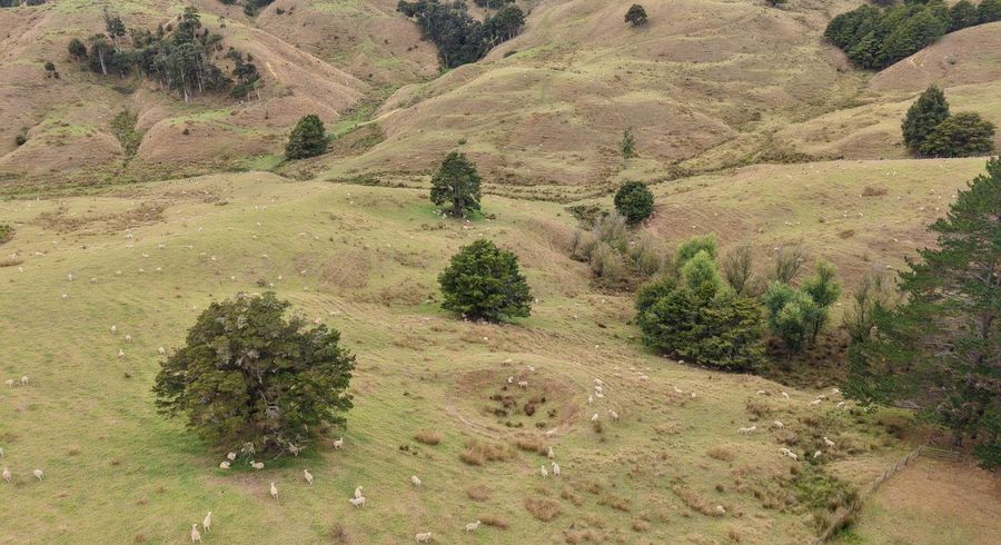  at 290 Hillcrest Road, Waiotira, Whangarei, Northland