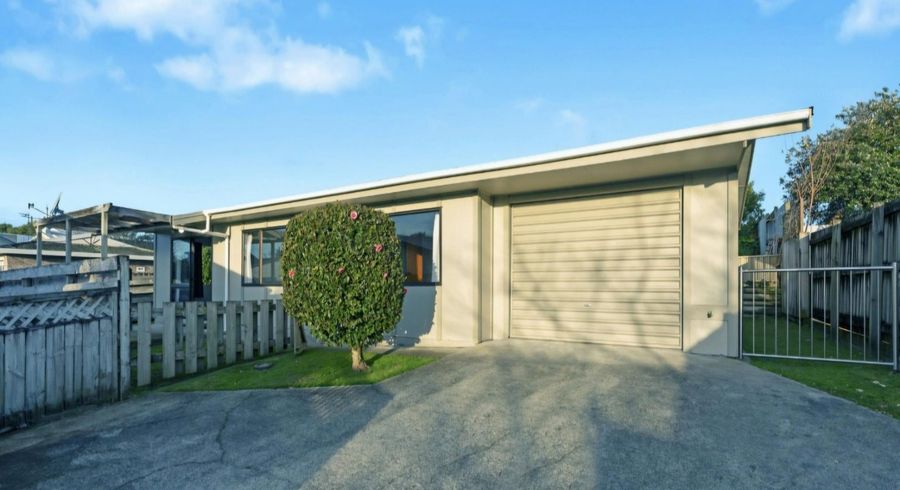  at 141C Maungatapu Road, Maungatapu, Tauranga, Bay Of Plenty