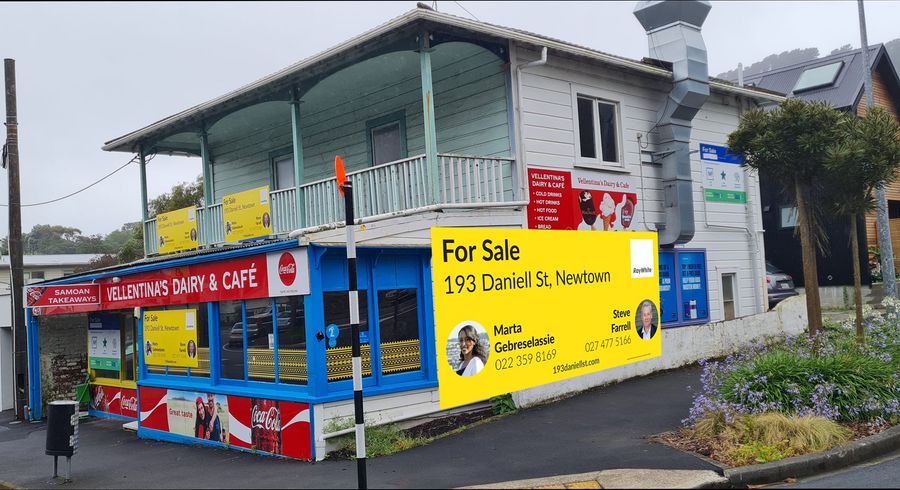  at 193 Daniell Street, Newtown, Wellington