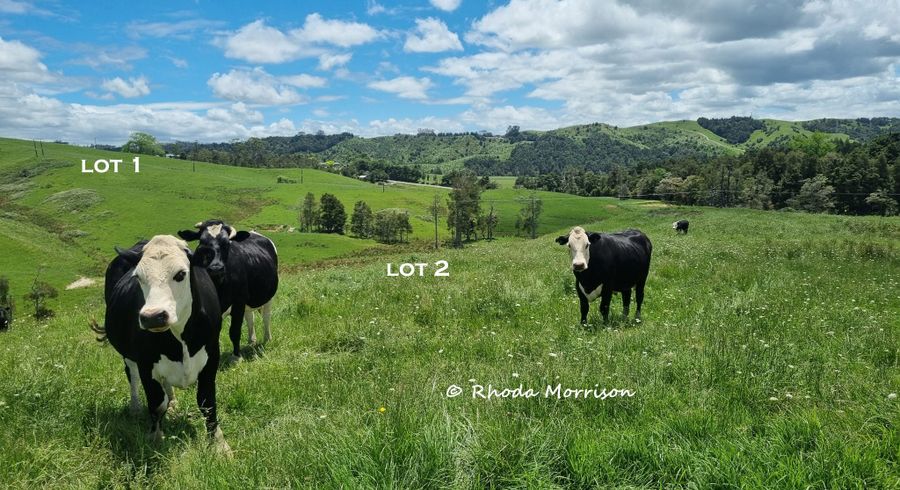  at 0 Golden Stairs Rd, Maungaturoto, Kaipara, Northland