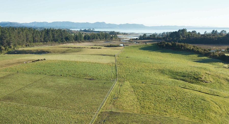  at 42 Keoghan Road, Rangihaeata