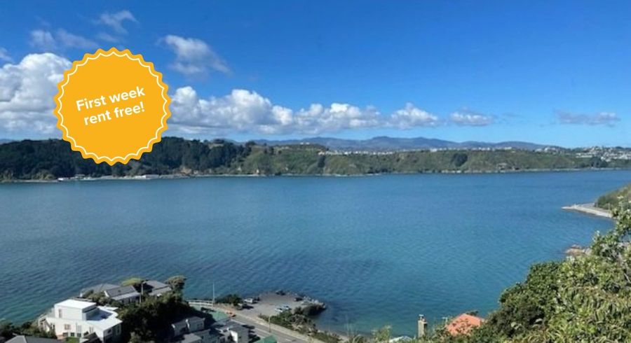  at 37a Grafton Road, Roseneath, Wellington, Wellington