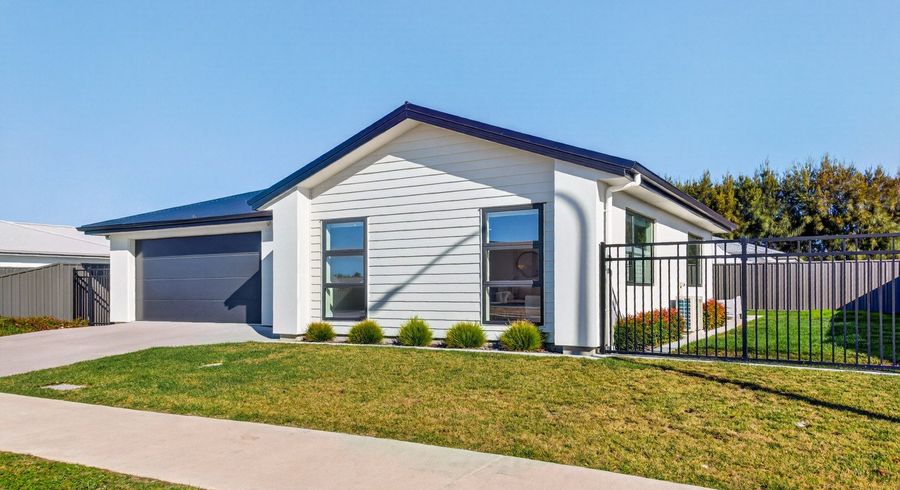  at 49 Wai Whatu Street, Te Awa, Napier, Hawke's Bay