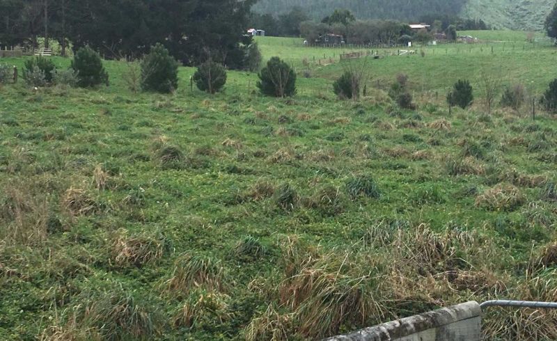  at 0 Potts Road, Koputaroa, Shannon