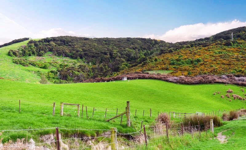  at 412A Outram-Mosgiel Road, Outram