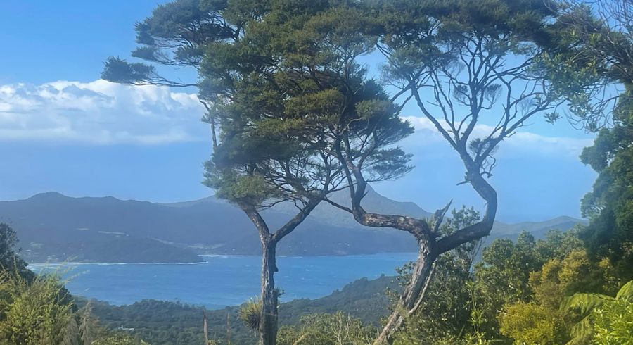  at 240 Schooner Bay Road, Great Barrier Island, Hauraki Gulf Islands, Auckland