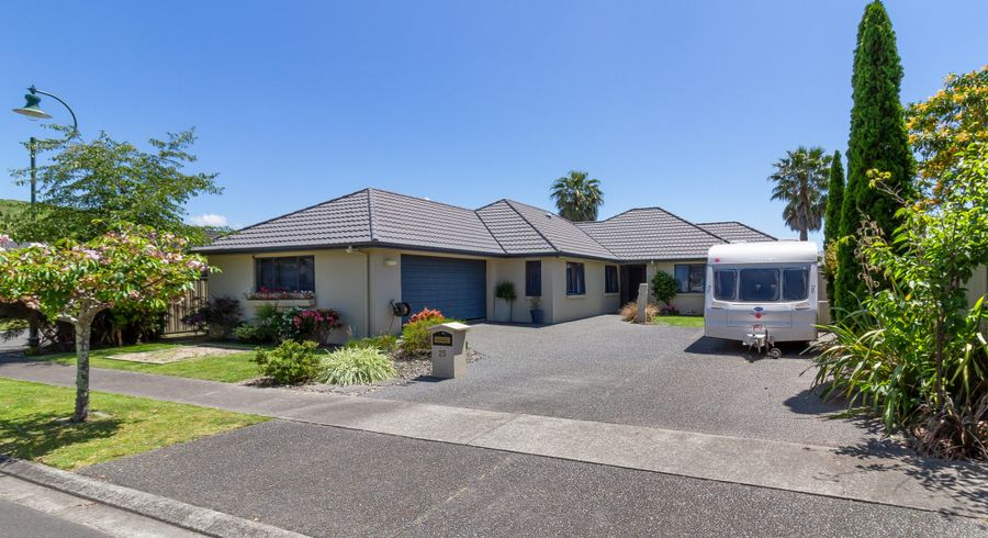  at 25 Pinotage Drive, Greenmeadows, Napier