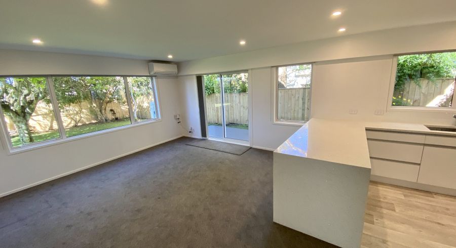  at 4/6 Empire Road, Epsom, Auckland City, Auckland