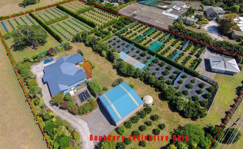  at 14 Mountain Road, Sentry Hill, New Plymouth