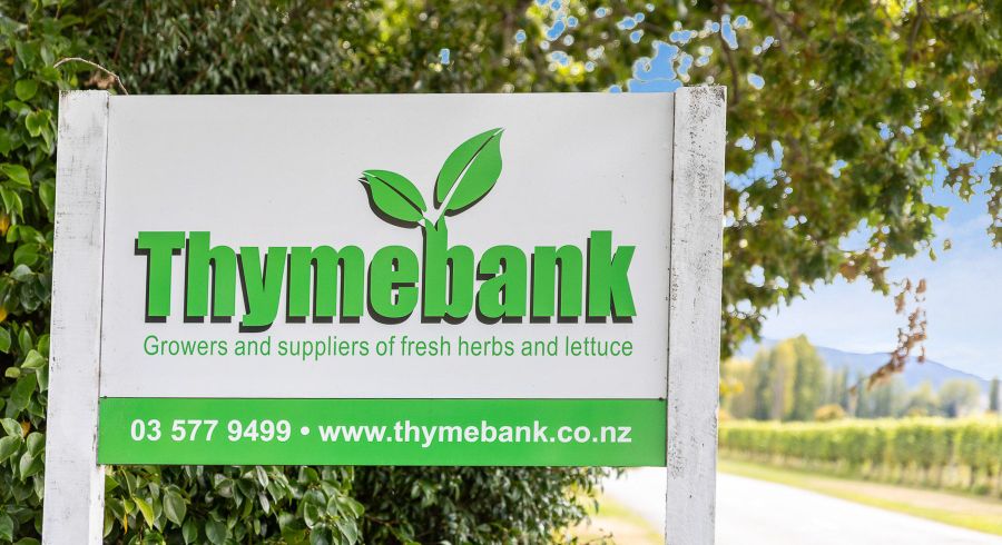  at 31 Hammerichs Road, Rapaura, Marlborough, Marlborough