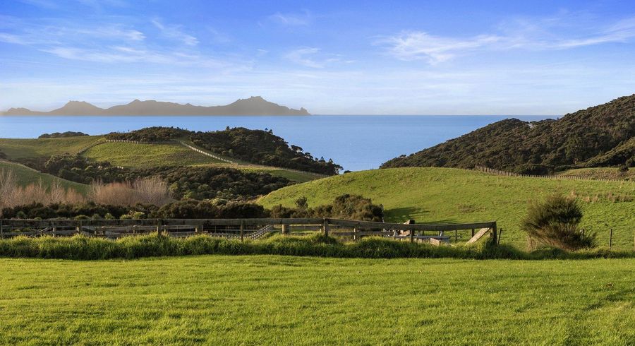  at 12 Tuaraki Road, Mangawhai Heads, Kaipara, Northland