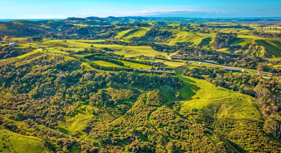 at LOTS 1 / 2 BEING A SUBDIVISION OF LOT 4 DP 487154 Fordyce Rd, Helensville, Rodney, Auckland