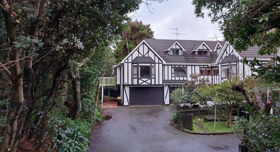  at 123 Coromandel St, Newtown, Wellington, Wellington