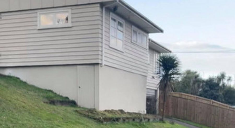  at 67 Hendry Avenue, Hillsborough, Auckland