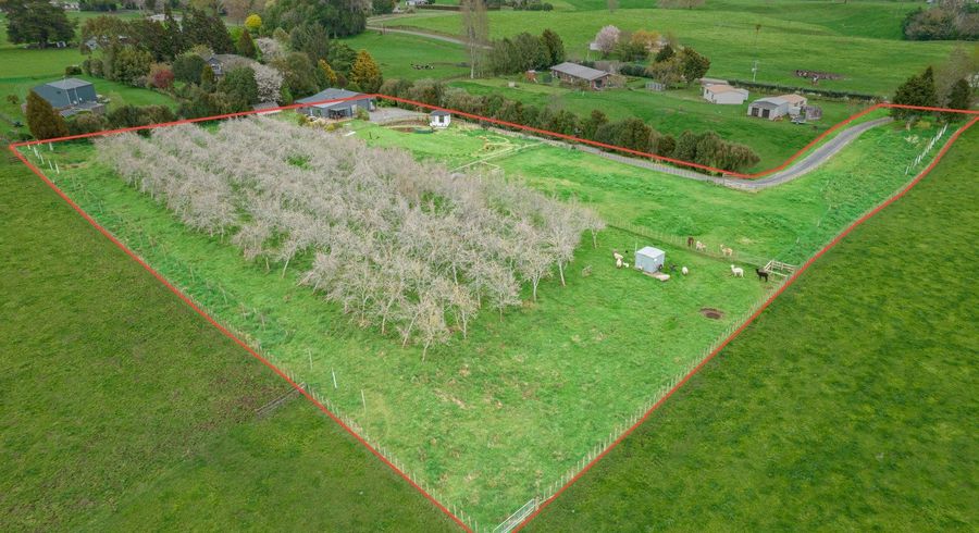  at 110 Kells Lane, Putaruru