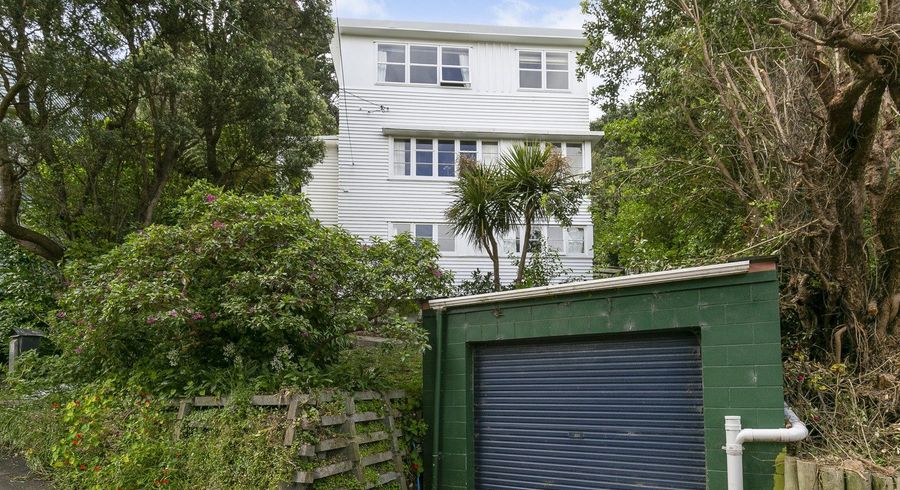  at 30 Tannadyce Street, Strathmore Park, Wellington