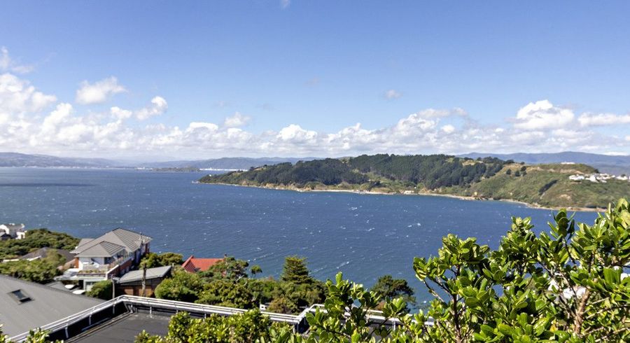  at 149 Te Anau Road, Hataitai, Wellington, Wellington