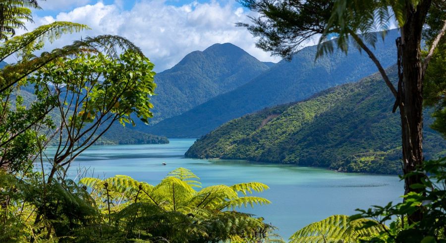  at 47 Korimako Rise, Picton