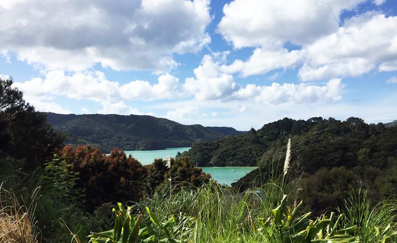  at 0 Ruato Rd, Whangaroa, Kaeo