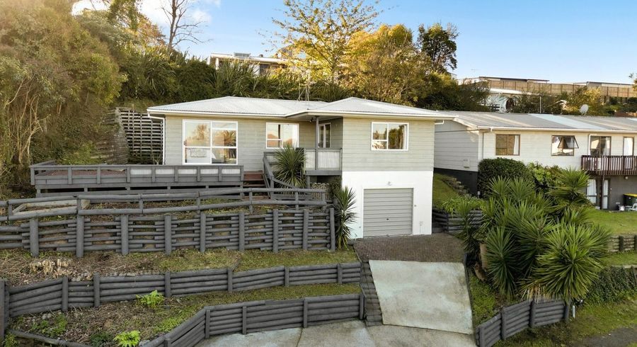  at 17 Pygmalion Place, Dinsdale, Hamilton, Waikato