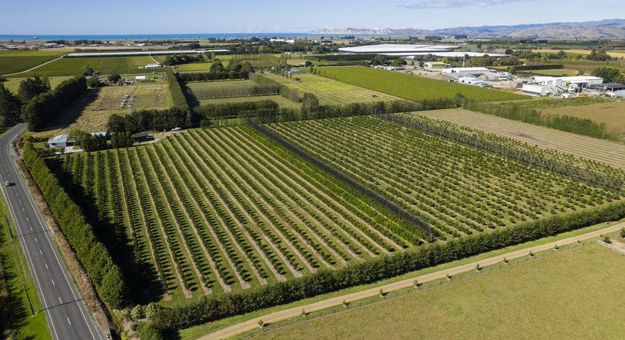  at 45 Bushmere Road, Makaraka , Gisborne, Gisborne