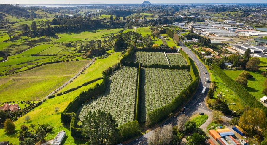  at 888 State Highway 29, TAURIKO, TAURANGA