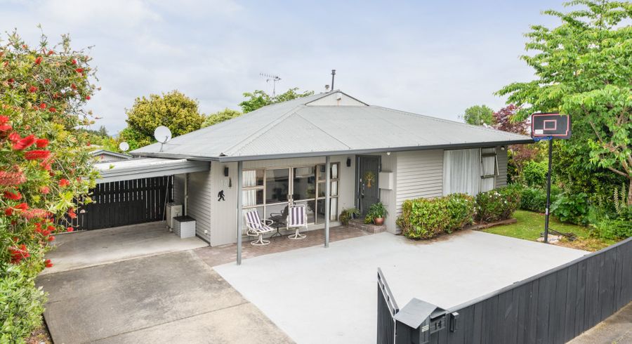  at 14 Snowdon Avenue, Terrace End, Palmerston North