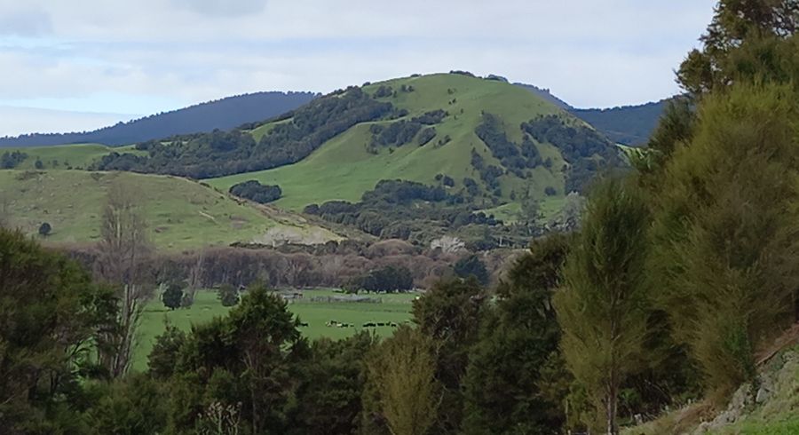  at 141 Puhunga Road, Waipiro