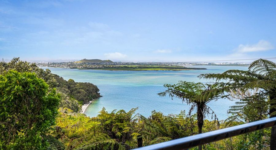  at 2 Waikowhai Road, Hillsborough, Auckland City, Auckland