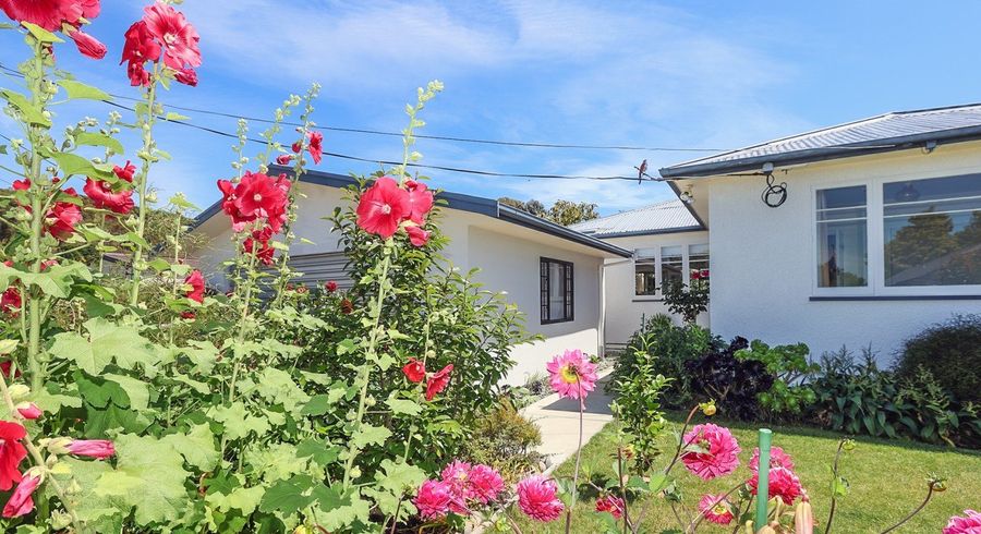  at 15 Golding Road, Taradale, Napier, Hawke's Bay