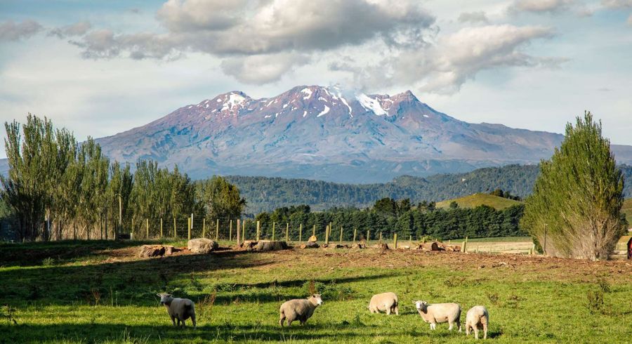  at Lot 2 Raetihi Ohakune Road, Ohakune, Ruapehu, Manawatu / Whanganui