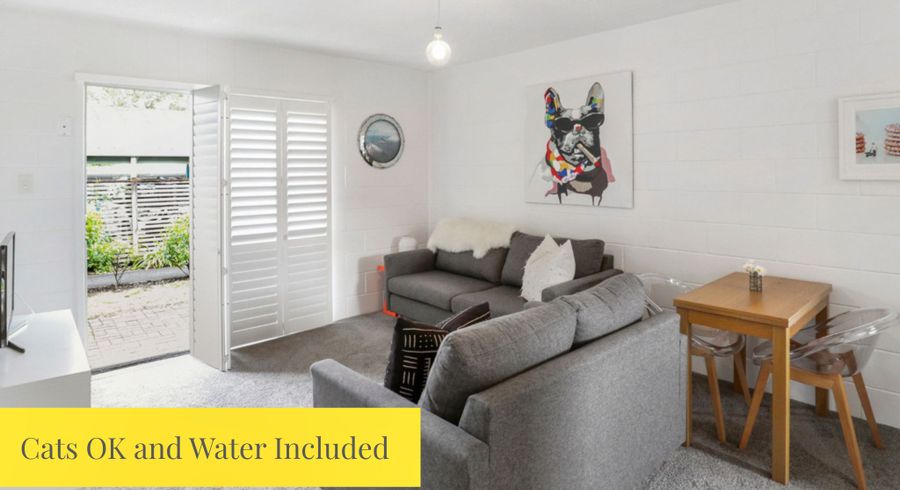  at 28T Wilkinson Road, Ellerslie, Auckland City, Auckland