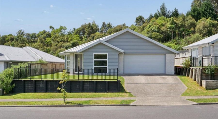  at 45 Pakanga Grove, Pyes Pa, Tauranga, Bay Of Plenty